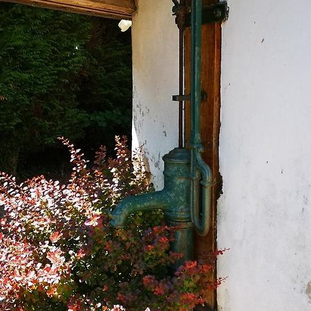 Studio Vacances Proche Plages Neufchatel-Hardelot Exterior photo
